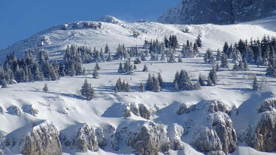 Paysage enneigé du Vercors