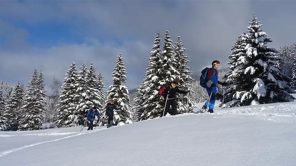 Sortie raquettes accompagnée en forêt