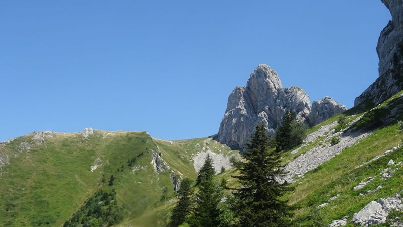Aiguille rocheuse au-dessus de l'alpage