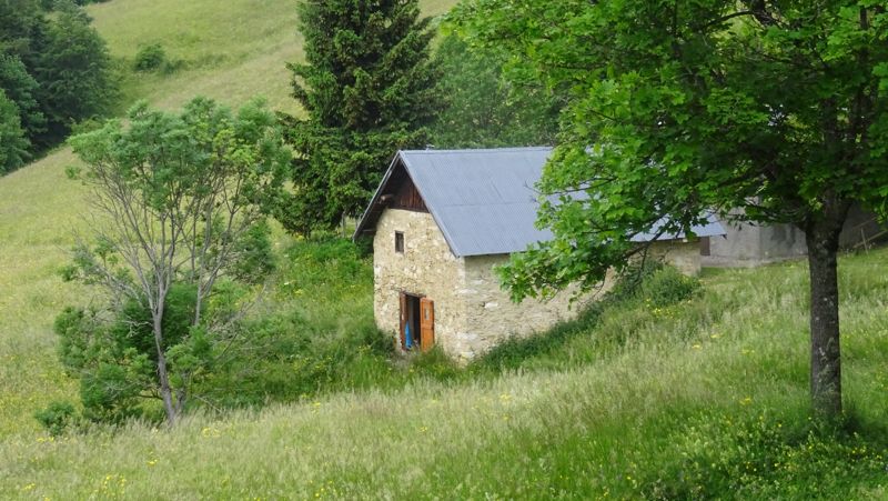 Cabane de berger dans la prairie