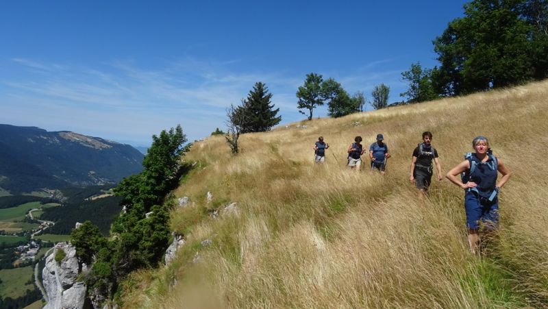 Groupe dans la prairie dorée au-dessus de la vallée