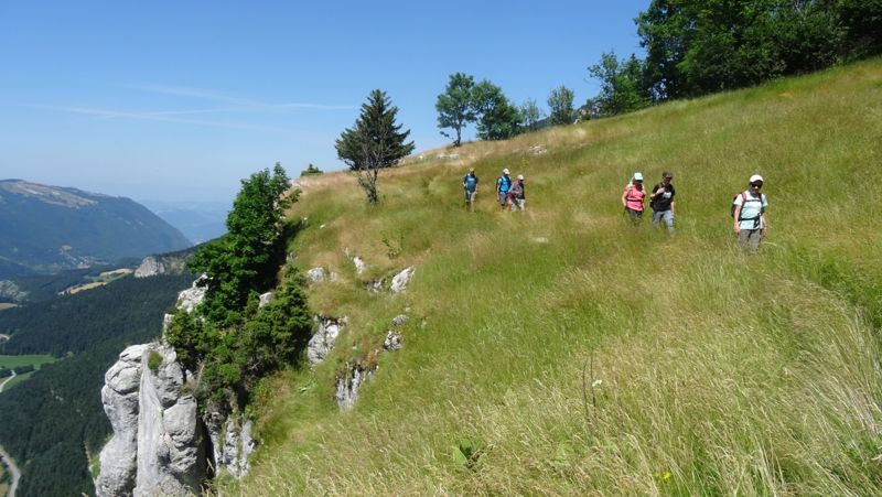 Groupe dans la prairie au bord de la falaise