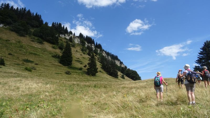 Groupe dans la prairie sous la falaise boisée