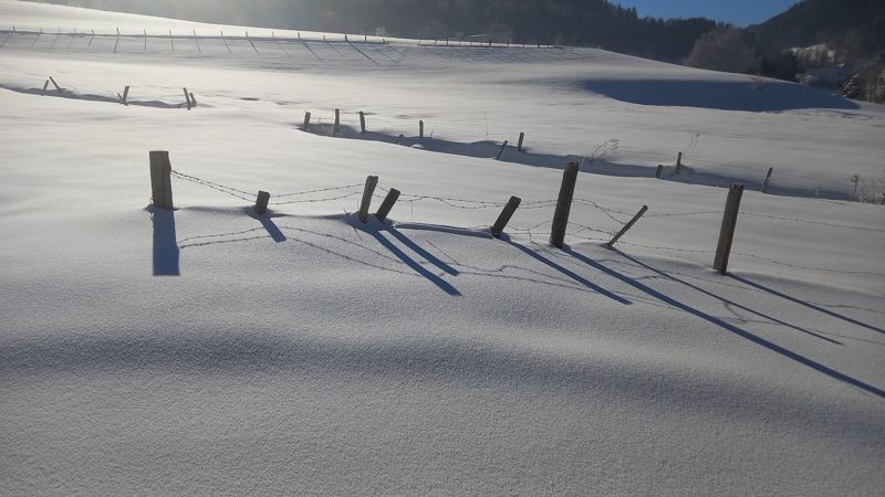 Clôture et ombres sur la neige