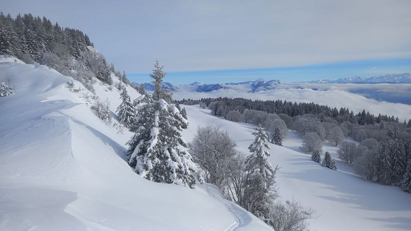 Crête boisée et mer de nuages