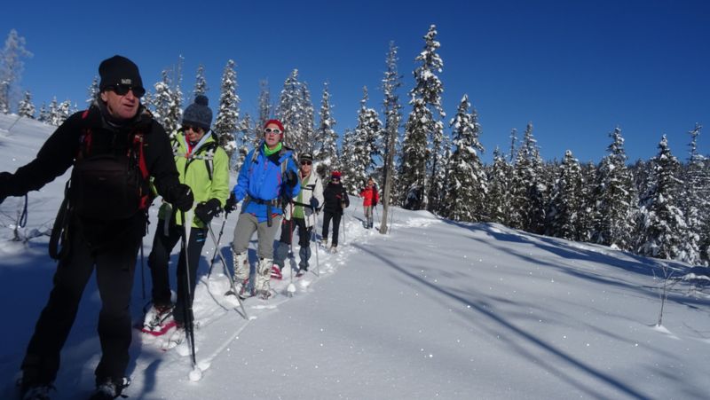 Groupe en file indienne dans la forêt enneigée