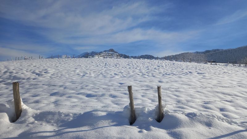 Prairie enneigée, clôture et sommets du Vercors