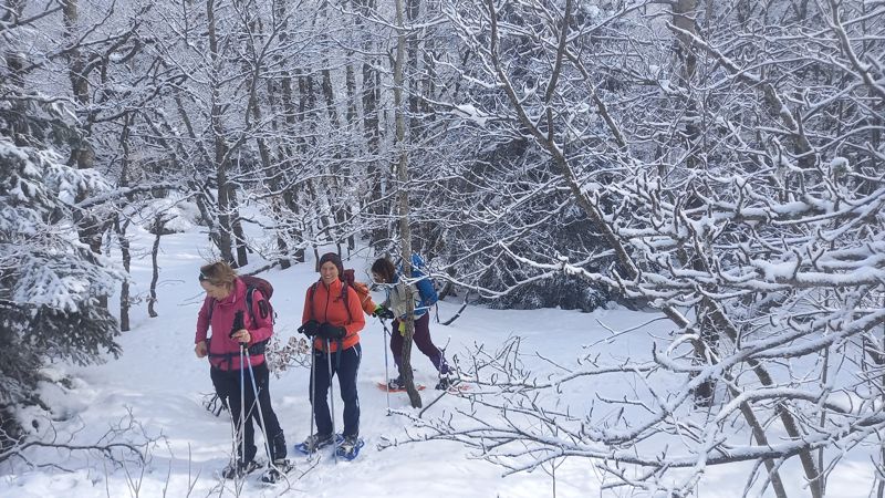 Randonneuses en raquettes dans un sous-bois enneigé