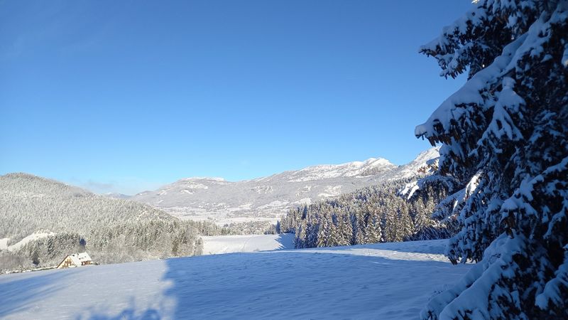 Vallée enneigée et sapin chargé de neige
