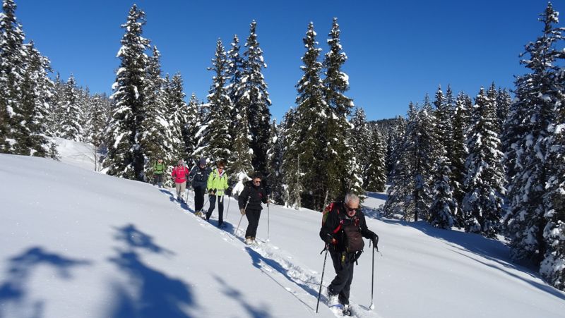 Groupe en raquettes dans la forêt enneigée