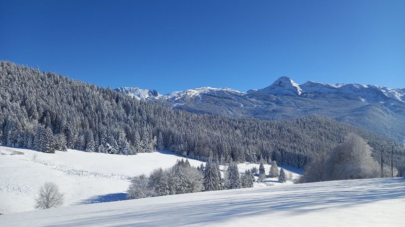 Forêt enneigée et sommets du Vercors