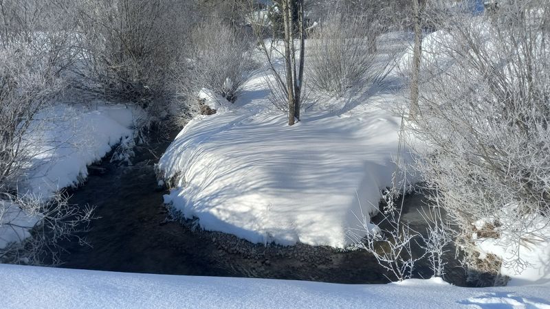 Ruisseau entre des rives enneigées